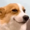 hehexd