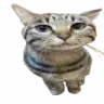 gentlemen
