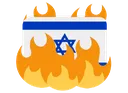 mena_burnisrael