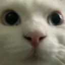 __