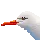grumpyseagull2 grumpyseagull2