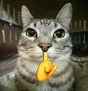 TEA_cat_Mewing1