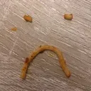 spaggeti