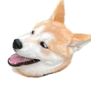 Argol_play