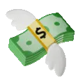 Cash_Flying