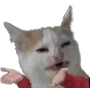 CATTOEXPLAIN