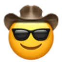cool_cowboy