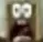 spongeahhhh