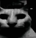 horror horror