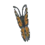 rainbowbutterfly rainbowbutterfly