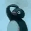 huhpenguq