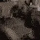 alrightMad