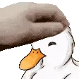 duck_pet1