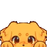 cl_reki_pet_dog_playful