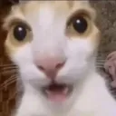 wtfcar