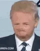 trump_derp