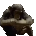 mods
