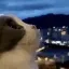 Wowie
