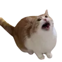 x_japerscream x_japerscream