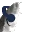 joeljam