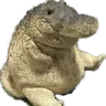 crocgu