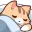 kitty2_sleep_bed