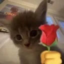 catwithflower