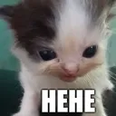 HEHE