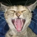 milli_mirth