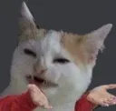 catwhat_HouseOfPacks