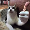 Cat_Thumbsup Cat_Thumbsup