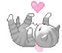 kitty Discord emoji