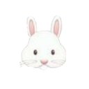 bunny1 Discord emoji