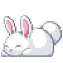 bunny bunny