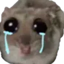 ohCry