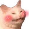 pisi_uwu Discord emoji