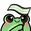 froggyAgenderFlag