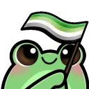 froggyAromanticFlag