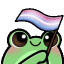 froggyBigenderFlag
