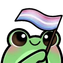 froggyBigenderFlag