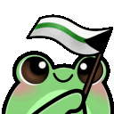 froggyDemiRomanticFlag