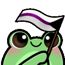 froggyDemisexualFlag