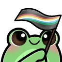 froggyDisabilityFlag