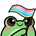 froggyGenderfluxFlag
