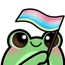 froggyGenderfluxFlag
