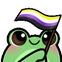 froggyNonbinaryFlag