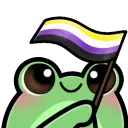 froggyNonbinaryFlag