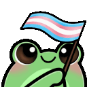 froggyTransFlag