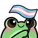 froggyTransFlag