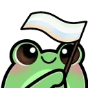 froggyUnlabeledFlag